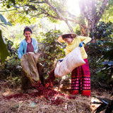 IWD Pa'O Villages | Myanmar