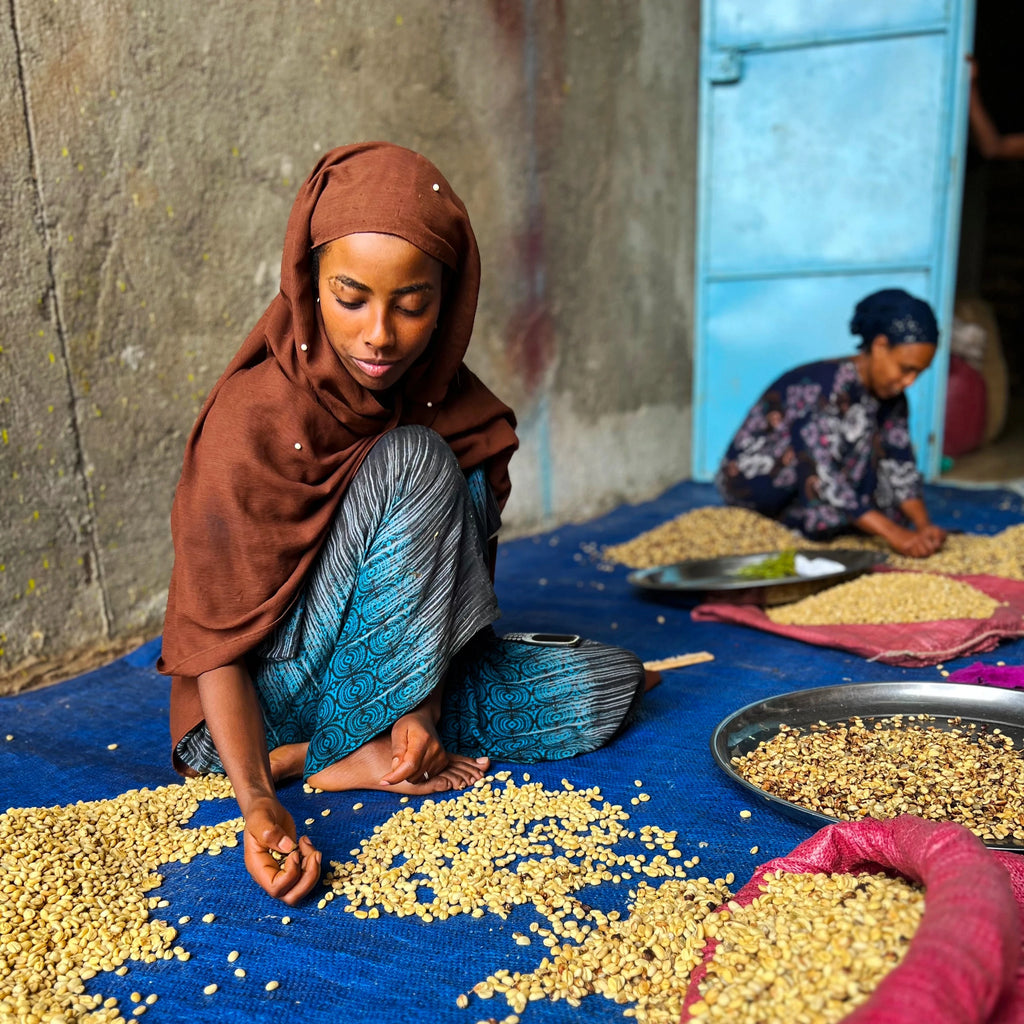 Mohammed Ali | DEADSTOCK