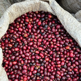 Sack filled with coffee cherries