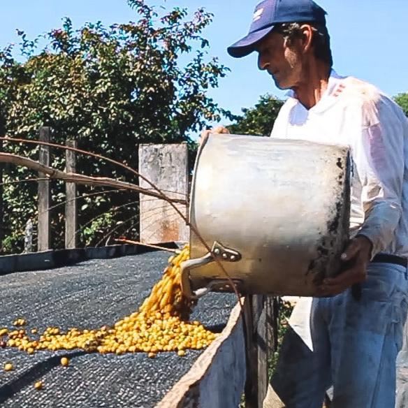 Sítio Chico Amado Espresso | DEADSTOCK