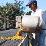 Sítio Chico Amado Espresso | DEADSTOCK