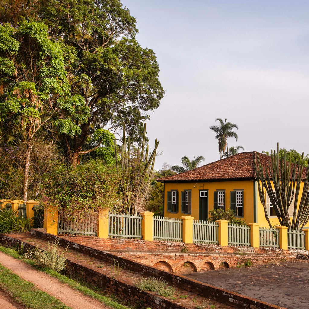 Curupira | Brazil