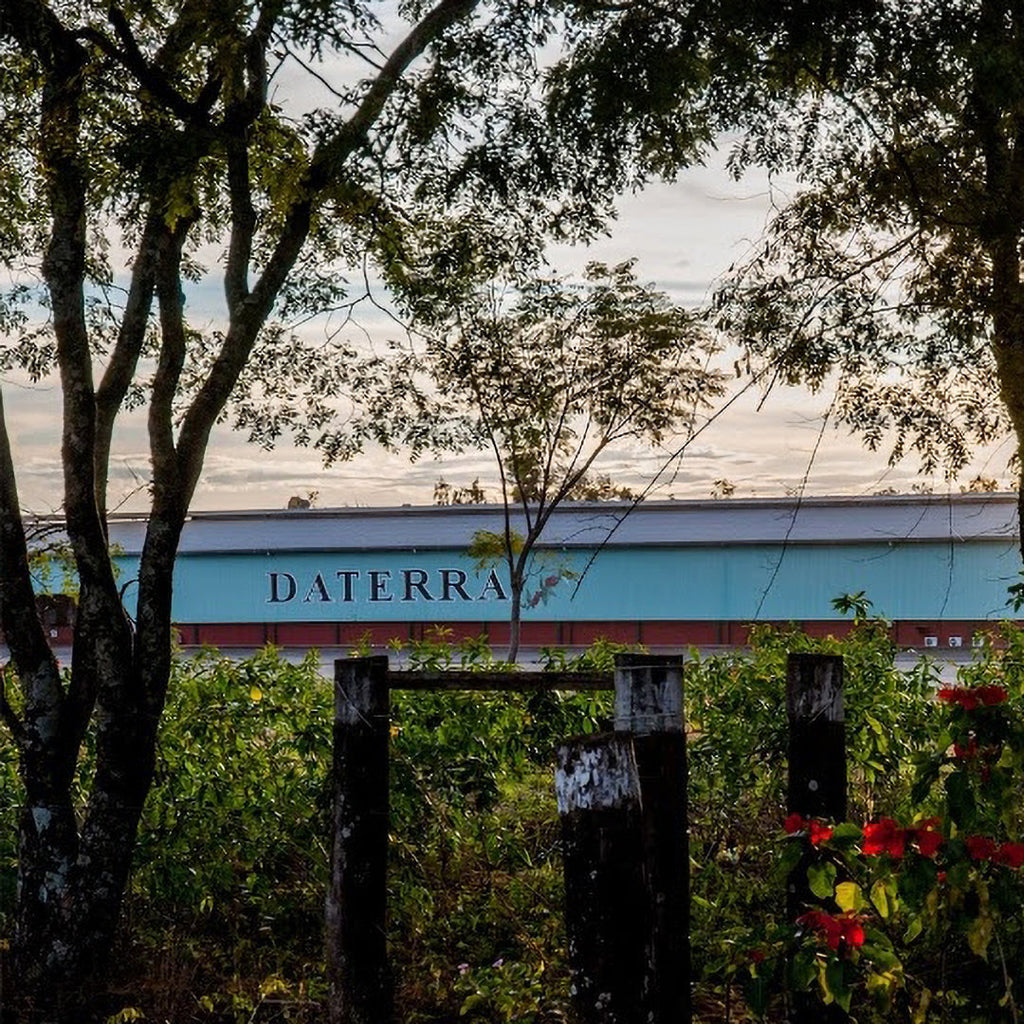 Daterra Farm seen through a thicket of trees and bushes
