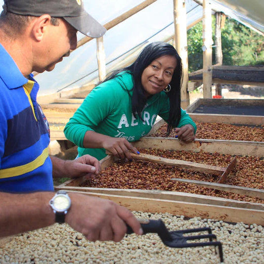 El Zafiro  | DEADSTOCK