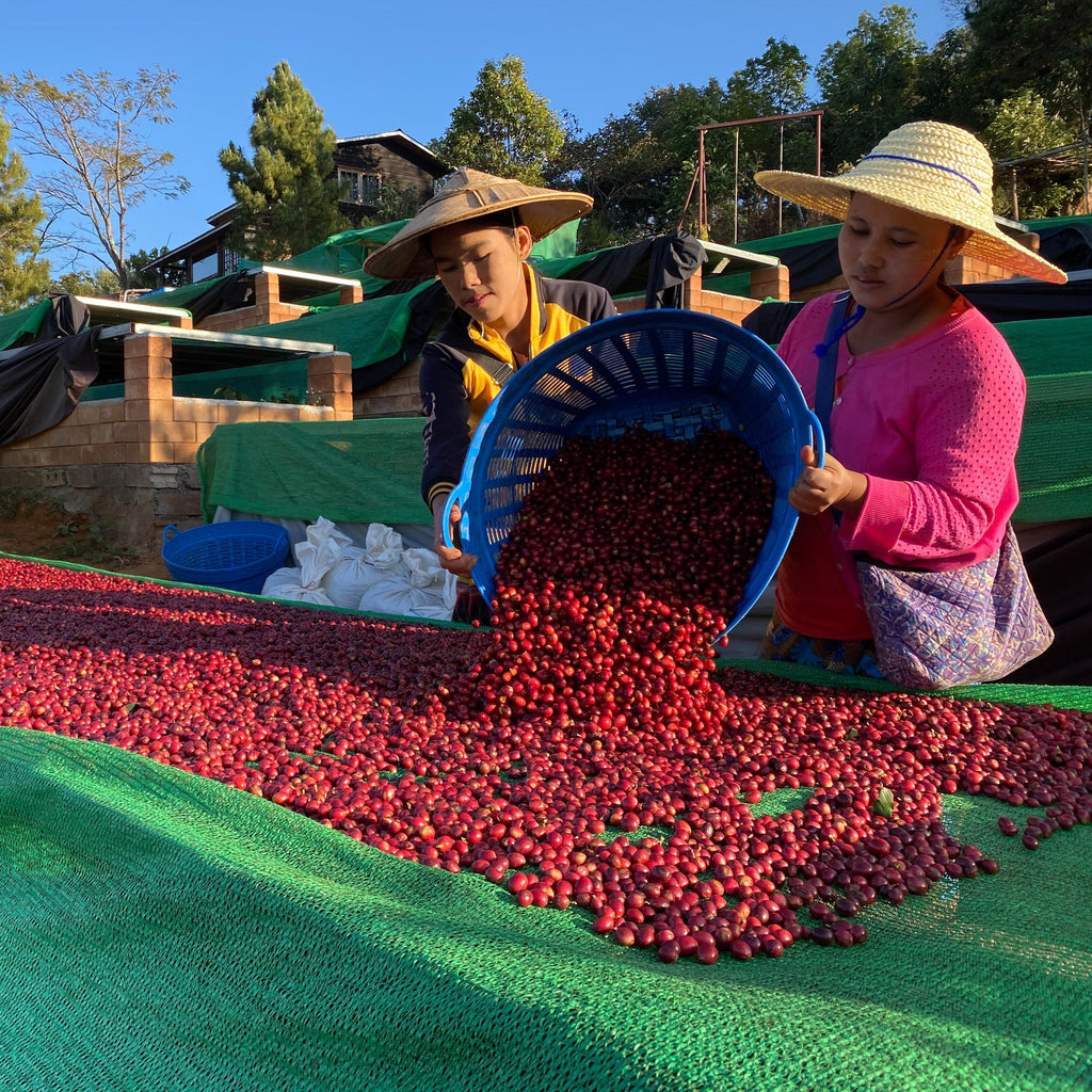 IWD Pa'O Villages | Myanmar