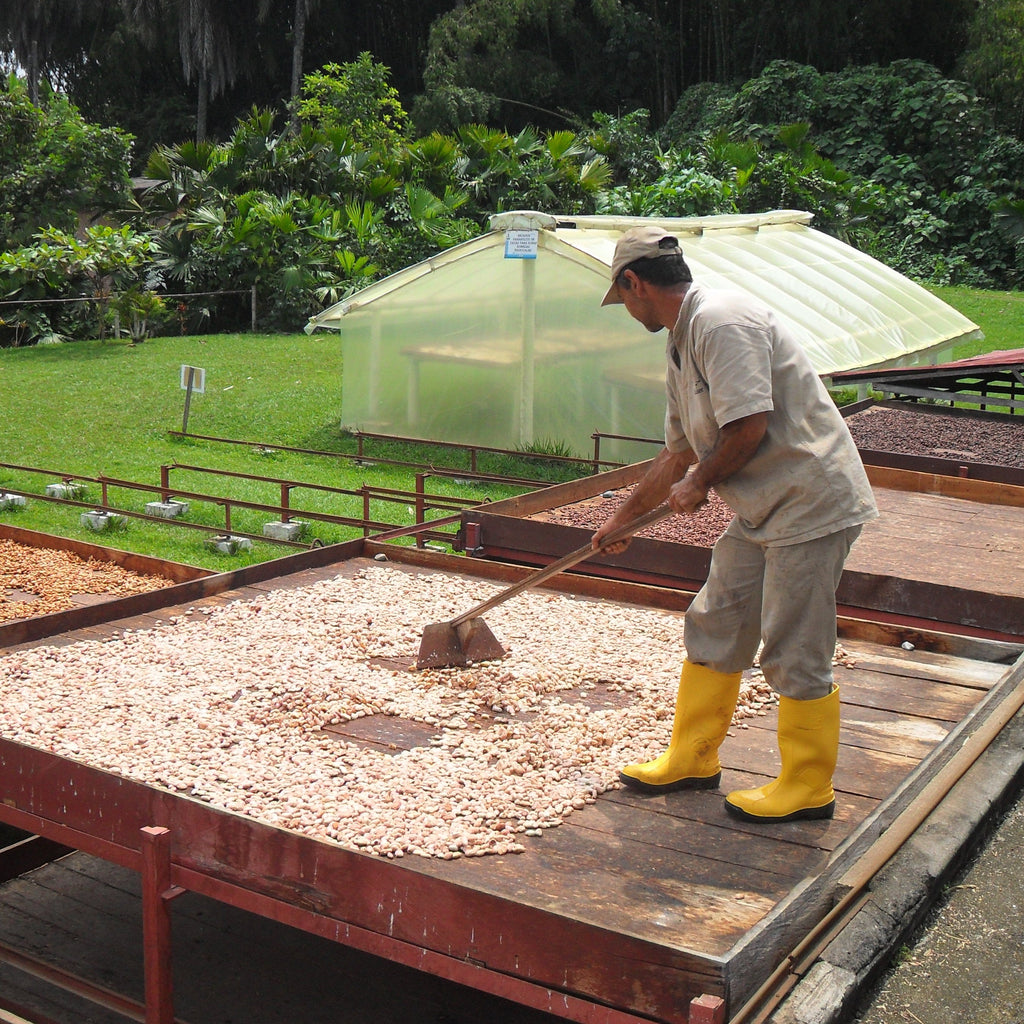 Colombian Drinking Chocolate