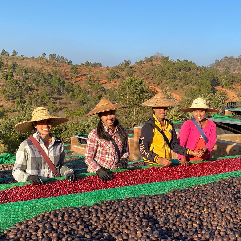 Pa'O Villages | Myanmar