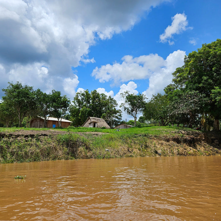 Naughty | Festive Coffee