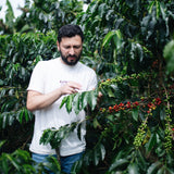 Watermelon | Colombia