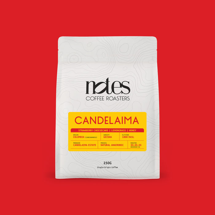 Candelaima_GSHA_COL_26_F_700x.