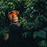 Myanmarese woman smiles at the camera while picking coffee cherries in a coffee plantation