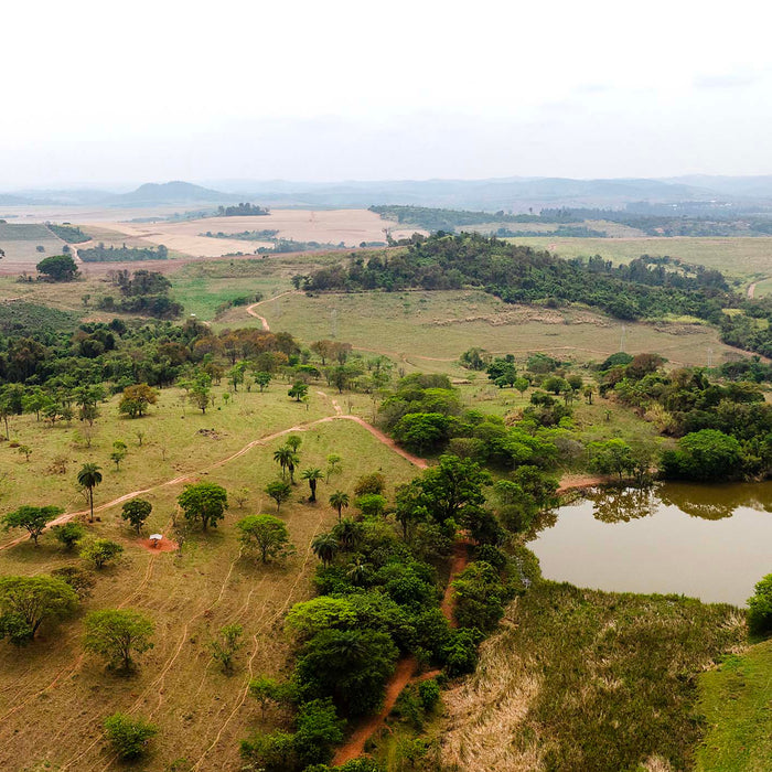 Curupira | Brazil
