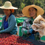 Hti Ta Maung Espresso | Myanmar