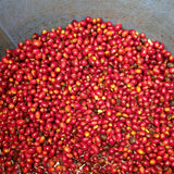 Candelaima | Colombia
