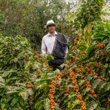 Blackwall Estate Espresso | Peru