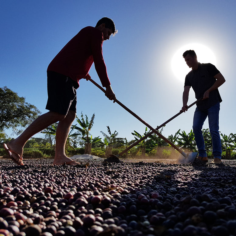 Naughty | Festive Coffee