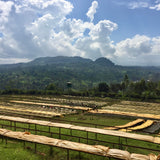 Gatomboya | Kenya
