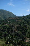 La Bandera | Costa Rica