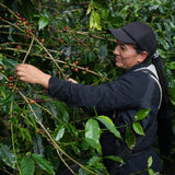 Candelaima | Colombia