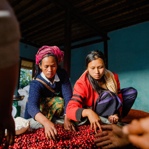 Hti Ta Maung Espresso | Myanmar