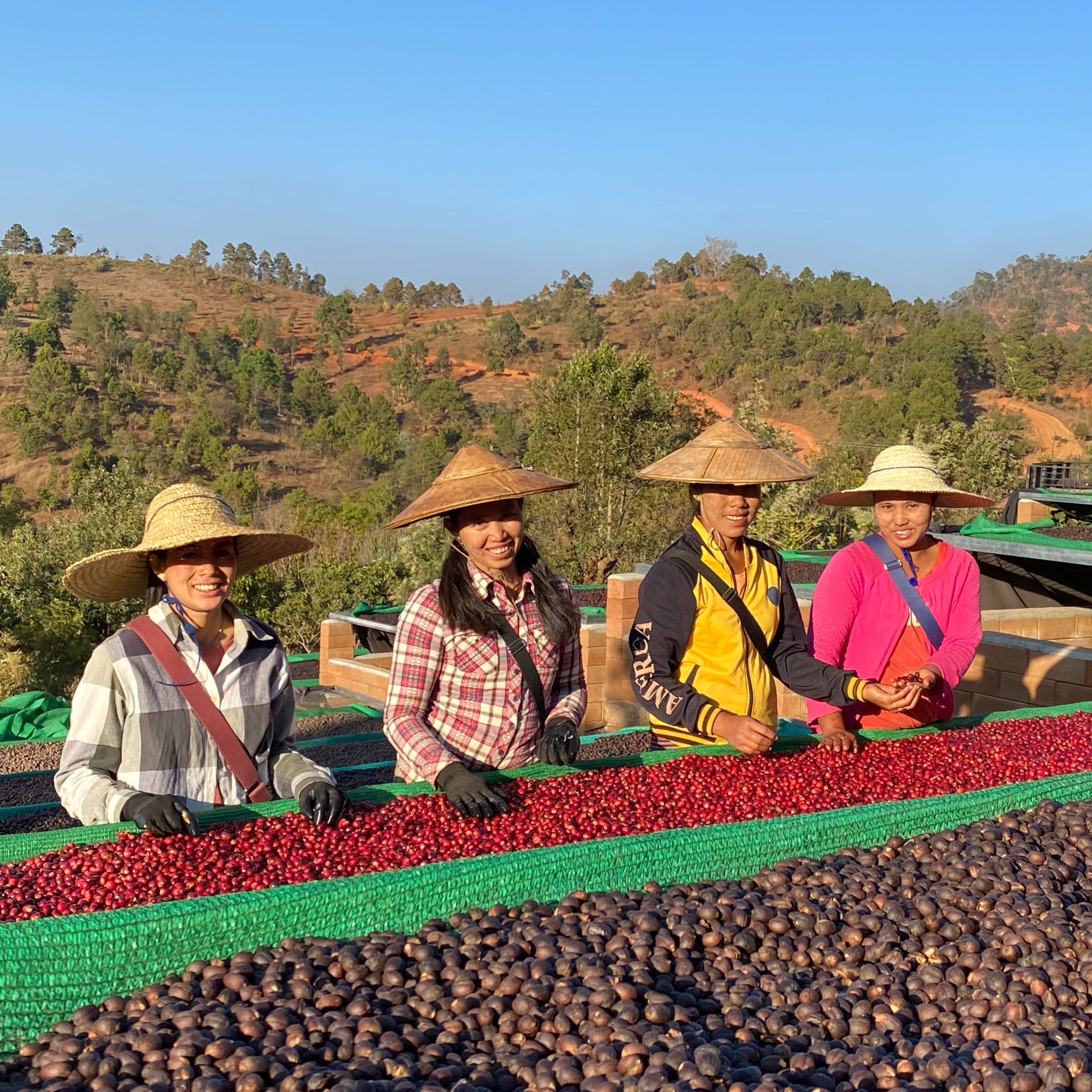 IWD Pingalar Village Espresso | Myanmar
