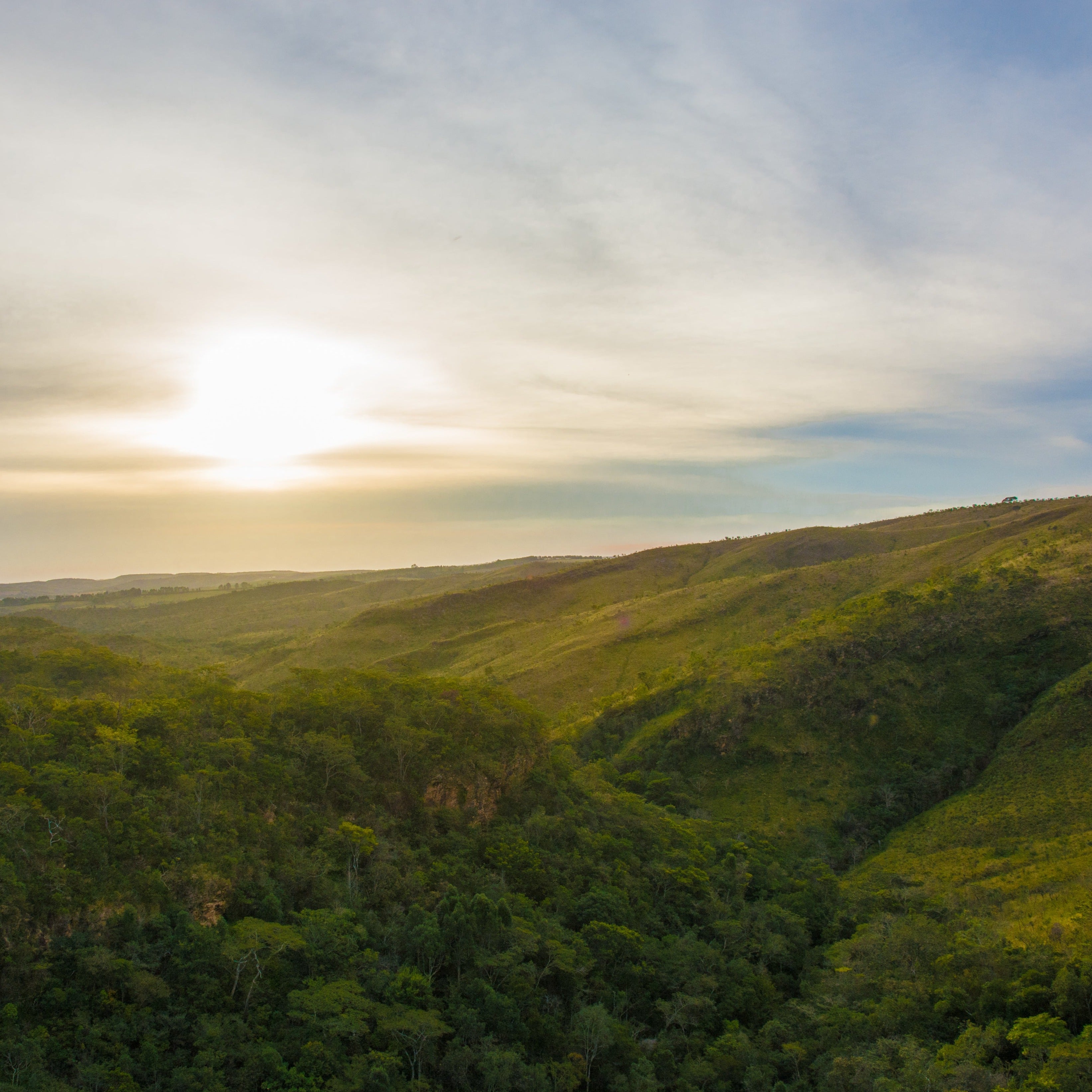 Low Caf Reserve | Brazil
